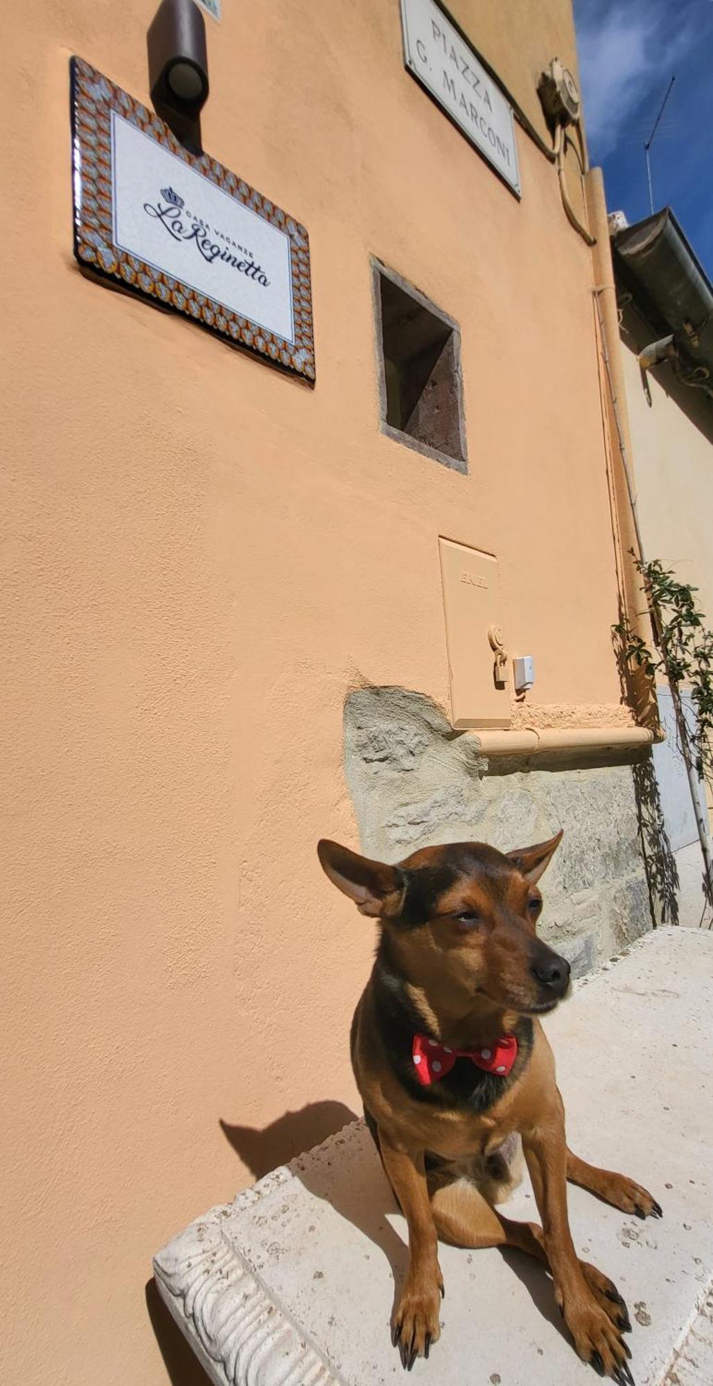 La Reginetta Holiday Home Tuoro sul Trasimeno Exterior photo
